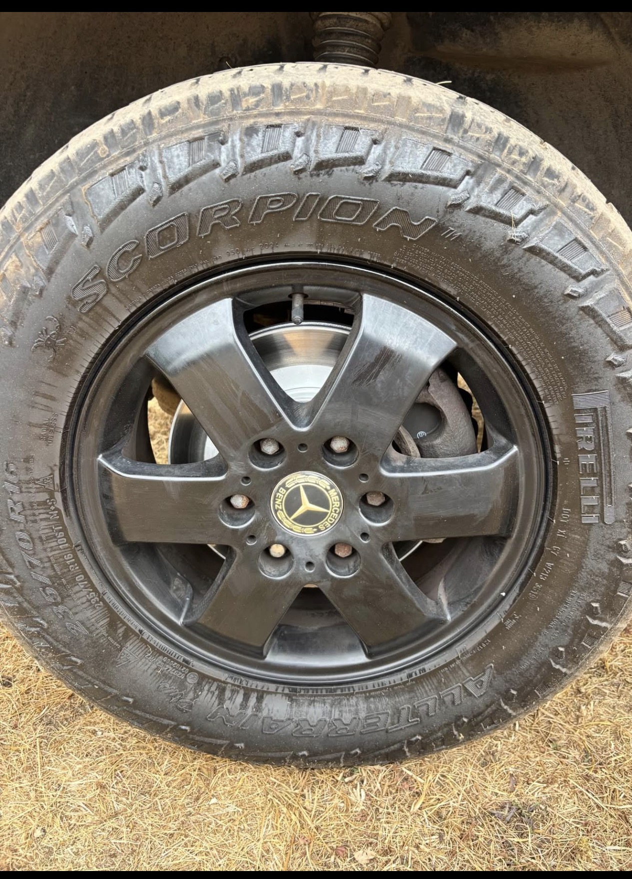 Vehicle photograph 11